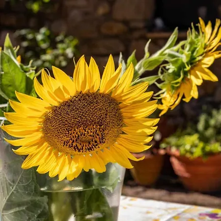 Holiday home Casa Mares Casa Rural En Entorno Privilegiado Girona